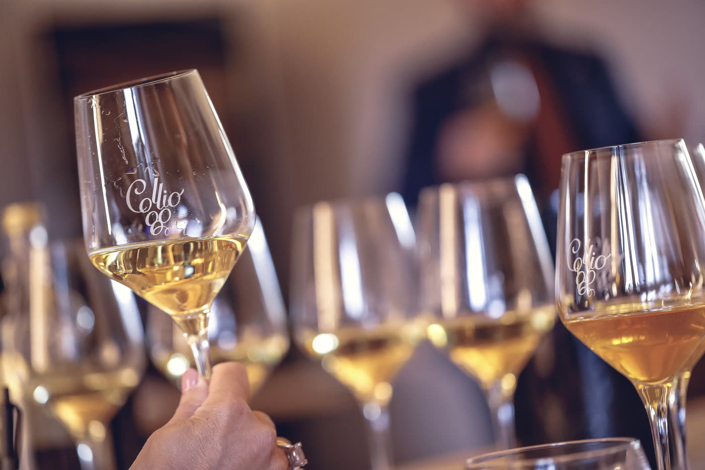 Batteria di calici Collio durante una degustazione guidata – masterclass di giovedì 17 settembre, Festa dell'Uva 2026