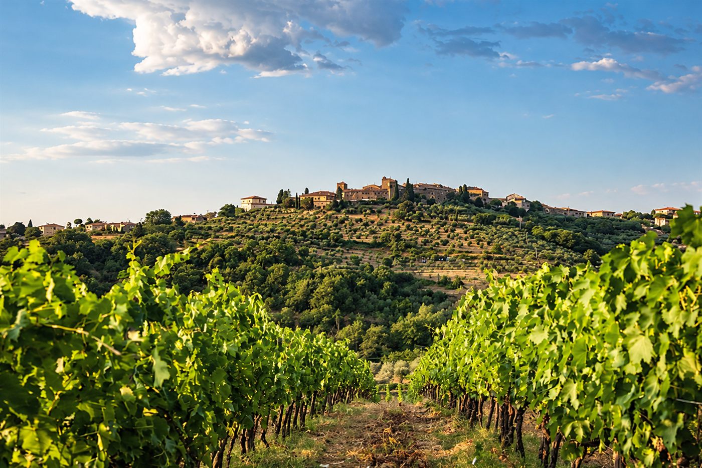 Il borgo di San Donato in Poggio sulla collina tra vigneti e oliveti del Chianti Classico – Festa dell'Uva 2026